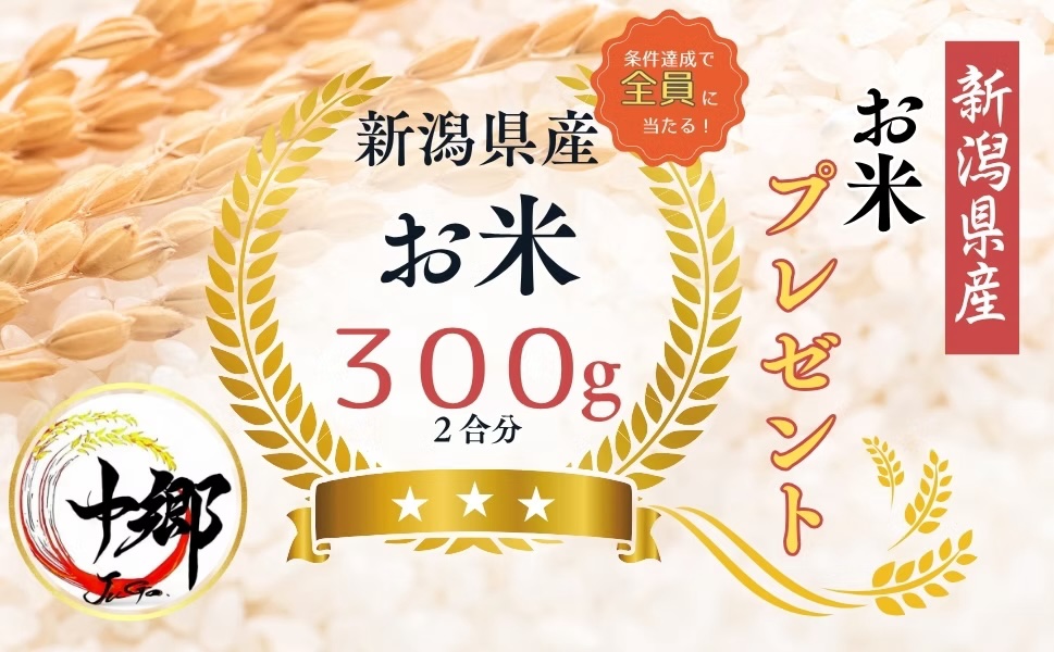 米缶プレゼント企画チラシ